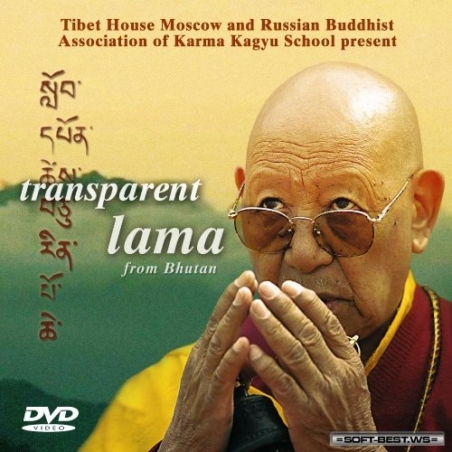 Plakat: Przeźroczysty Lama