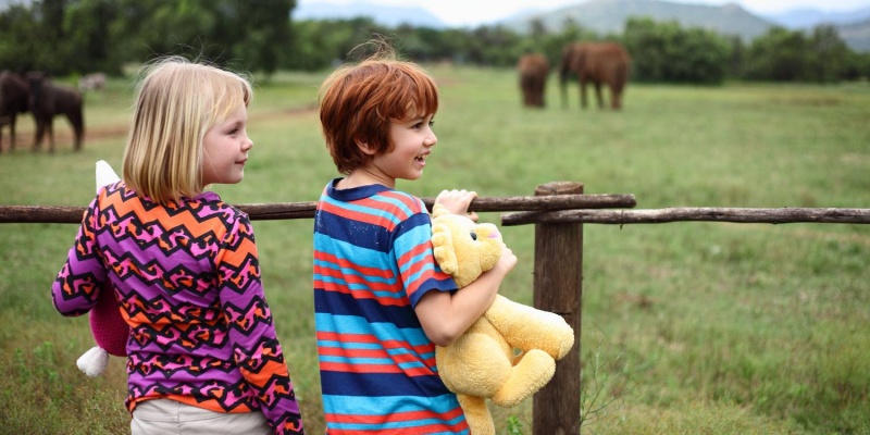 Plakat: Kacper i Emma na Safari
