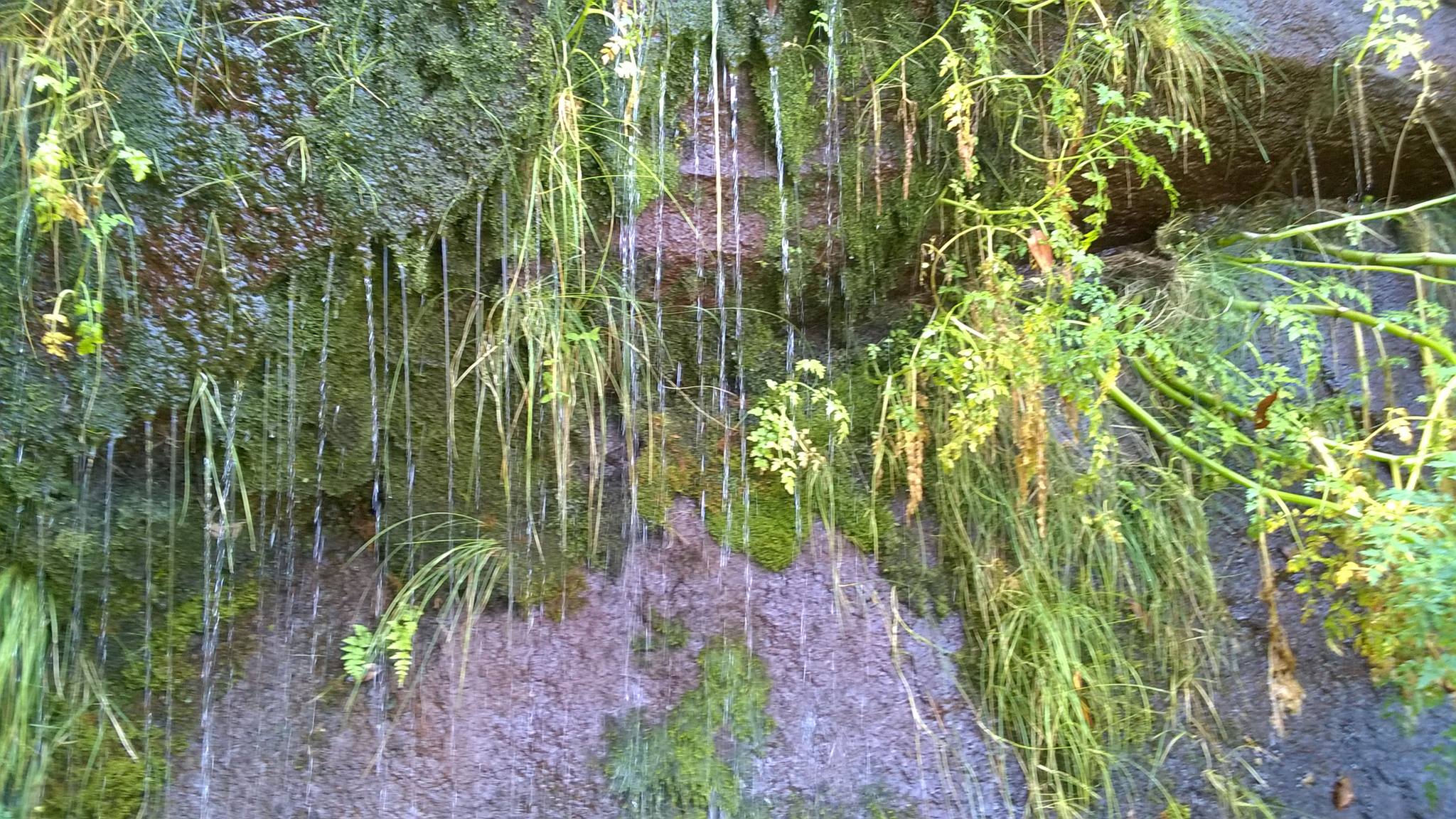 Madera Madera