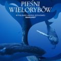 pieśni wielorybów