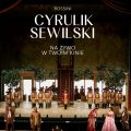 Cyrulik sewilski