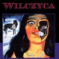 wilczyca (1)