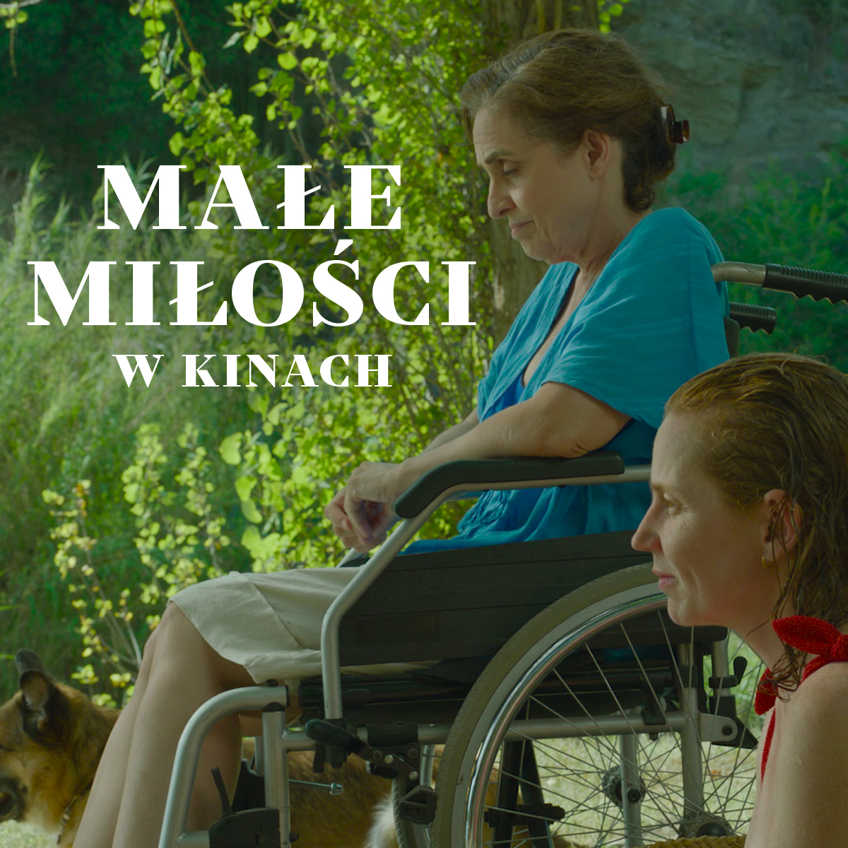 Male milosci_1x1_06