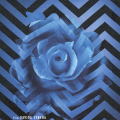 twin peaks brakujące elementy