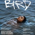 BIRD_plakat PL_LQ
