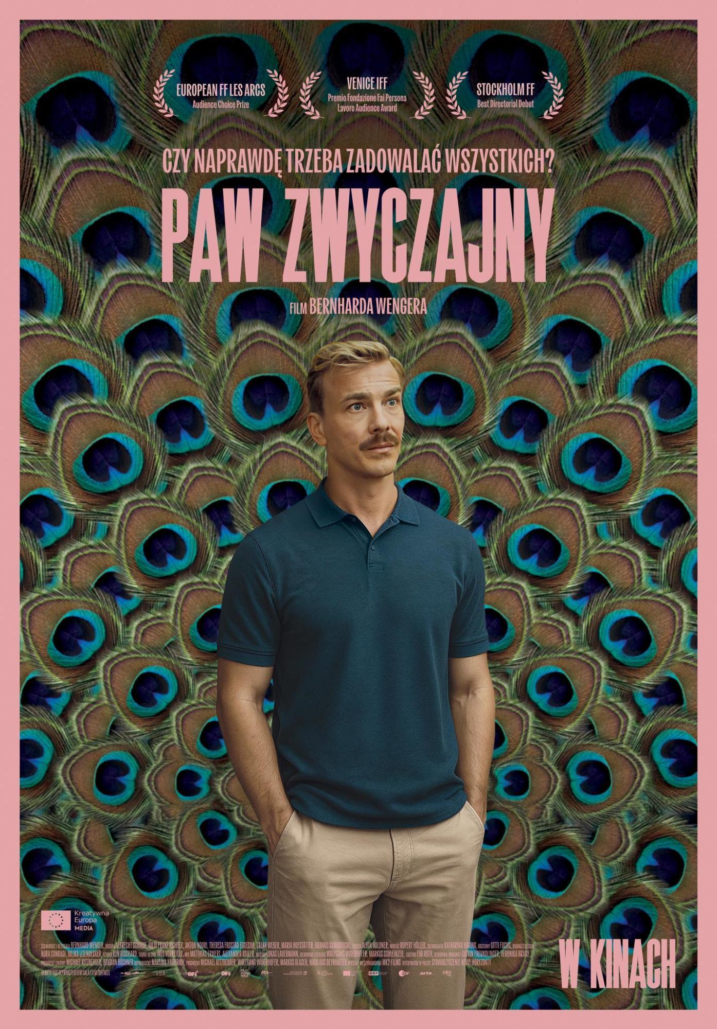 Paw zwyczajny B1