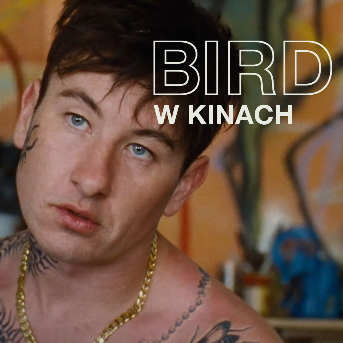 BIRD_zaslepka07_1x1