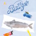 bałtyk-plakat