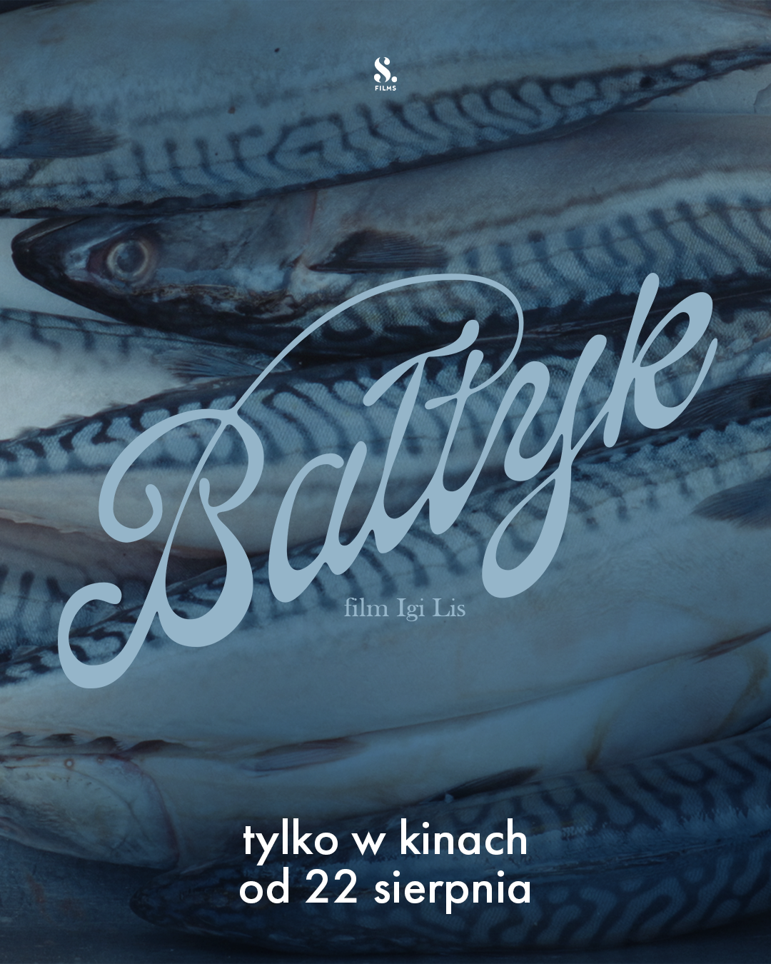BAŁTYK-KINA-1