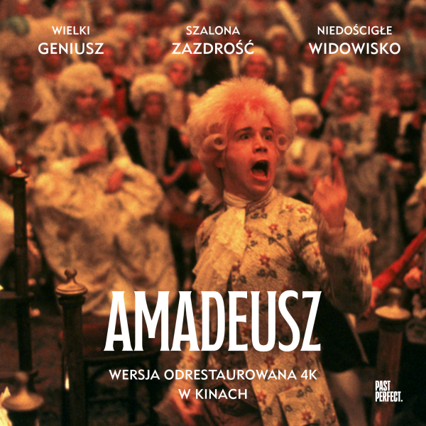 1x1 Amadeusz_1.1
