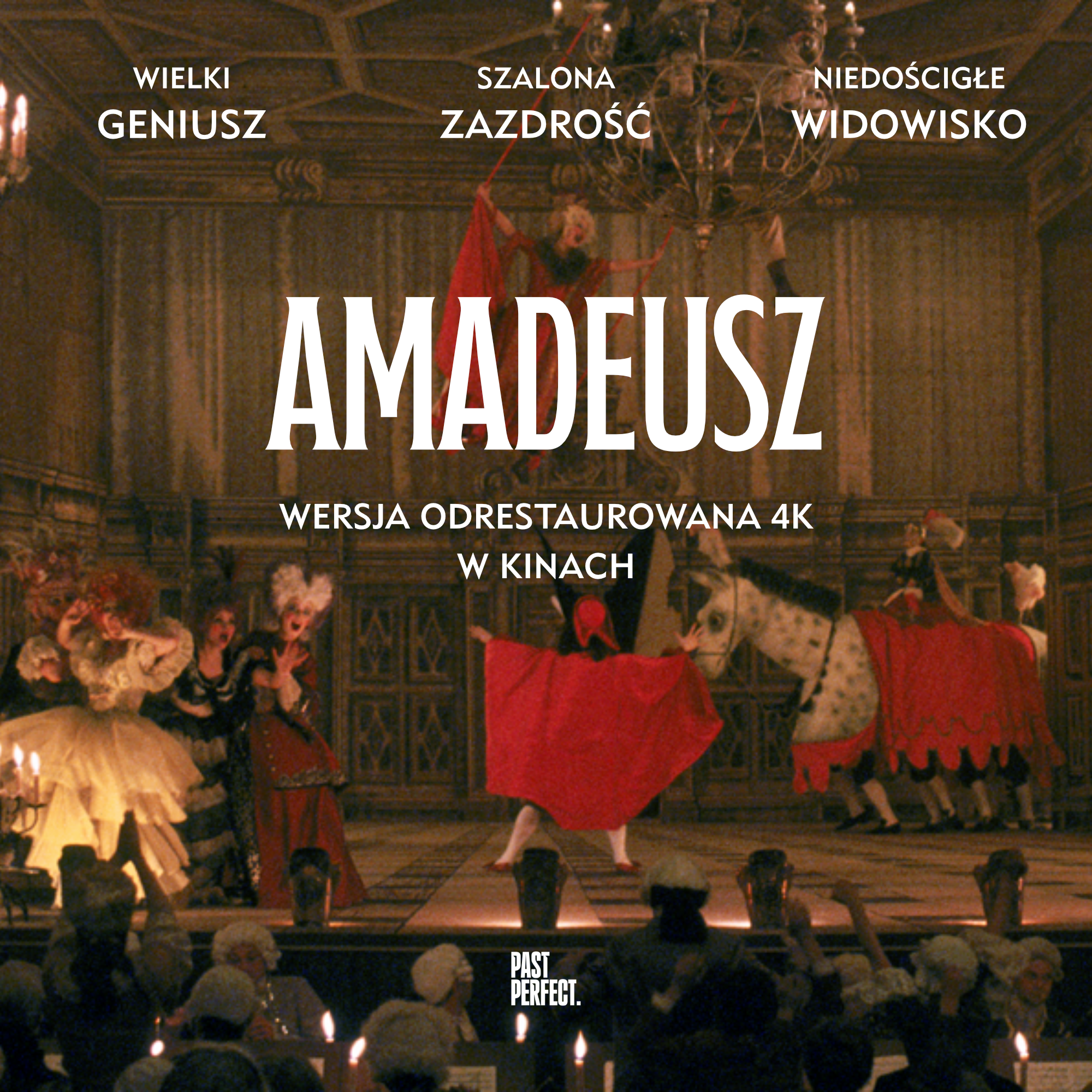 1×1 Amadeusz_5