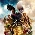drzewo magii