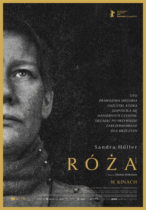 róża